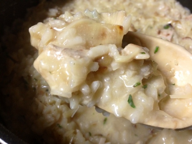 herbed turkey risotto finished closeup