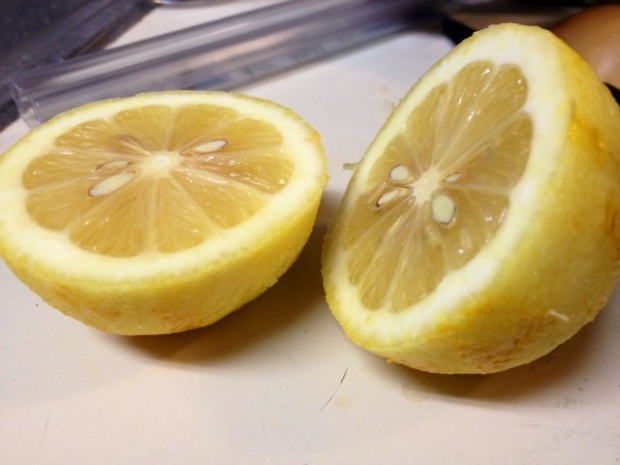 lemon cornstarch pudding lemons