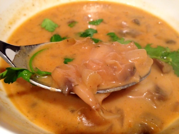 Hungarian Mushroom Soup spoonful
